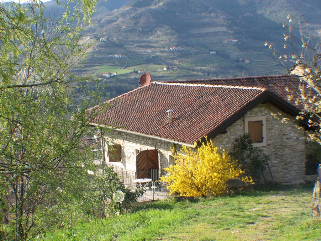 Gallo Bauernhof