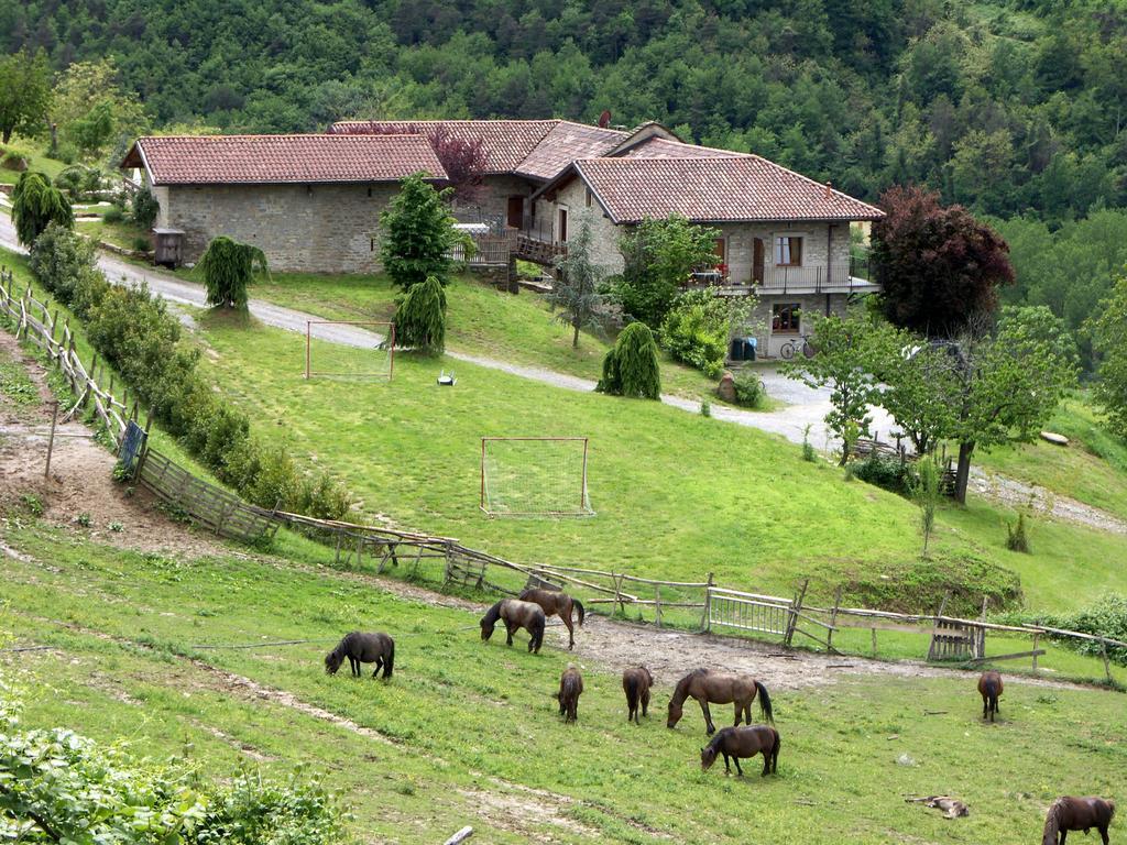 Gallo Alloggio per agriturismo Cortemilia
